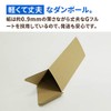 Earth Cardboard, Cardboard, A3, Poster, Cardboard, Tube, Box, 10 Sheets