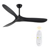 LOFIKEDI 60 Inch Ceiling Fan with Remote Control, Reversible DC