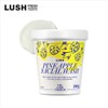 Rush [Lush Version] Pineapple 240g - Facial Wash/Cleanser / [러쉬버전]파인애플 240g - 페이셜 워시/클렌저