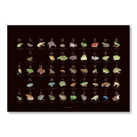 Frog Hiragana Table 50 Phonetic Chart, Black, Good Choice Book, No Magnetic Hanger, Frog, Frog Toad, Yea Frog, Frog Loves, Frog Loves Frog, Lucky Luck