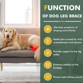 GFKRHPNY Dog Leg Braces for Back Leg for Torn ACL & CCL, Rear Leg Hock Ankle Brace with Metal Spring Inserts Reflective Straps, Dog Wrap Brace for Bottom Joint for Injury Sprain, Wound Care