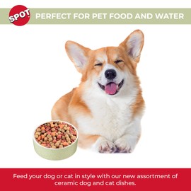 SPOT by Ethical Products - Heavy Ceramic High Gloss Dog Bowl Cat Bowl Durable Dog Food and Water Pet Dish - Dishwasher Safe – Trending Styles - SPECKLED DOG DISH 5"