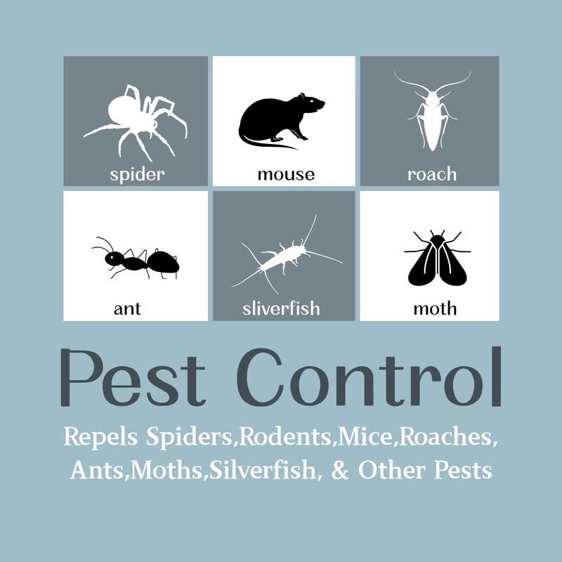 12 Pack Silverfish Repellent Balls Indoor,Long-Lasting Indoor Insect & Rodent