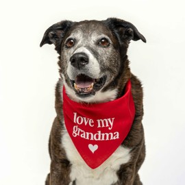 Love My Grandma Mother's Day, Valentine's Day Dog Bandana (Orange, OS 399)