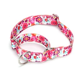 Pimaodog Heavy Duty Nylon Dog Collar, Adjustable Martingale Dog Collar for Walking Training Boy and Girl Dogs Medium Large Dogs (NO21, M:36-45CM)