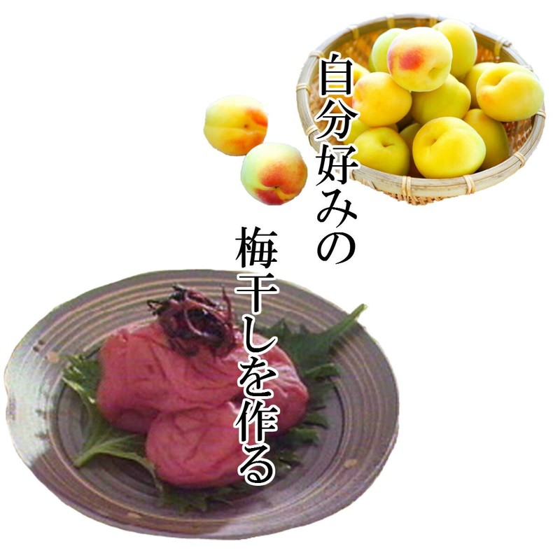 Red Perilla, Made in Japan, 100% High Quality Crepe Perilla,