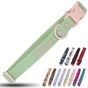 Wolfone Waterproof Dog Collar with Quick Release Buckle， Cute Adjustable