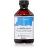 Davines Naturaltech REBALANCING Shampoo, Gently Cleanse The Scalp While Assisting