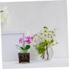 SUPVOX 5pcs Acrylic Orchid Pots with Saucers Transparent Nursery for