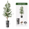 Artificial Tree in Black and White Zebra Stripe Planter, Fake