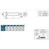 Hippo Hardware M6 (6mm X 65mm) TX Torx Socket Button