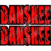 Factory EFX Banshee Rear Fender Graphics Decals Stickers 350 TWIN