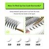 1000 Premade Lash Fans 8D Narrow Promade Fans 8-15mm Mixed