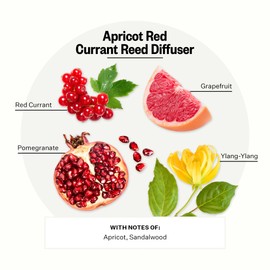 Apotheke Luxury Scented Reed Diffuser for Home, Apricot Red Currant - 6.7 Fl Oz Essential Oil Aromatherapy - 10 Rattan Scent Sticks Room Diffuser - Long-Lasting Fragrance for Bedroom, Home, Bathroom