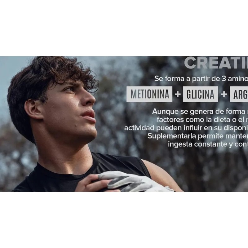 Birdman Creatina Monohidratada 450g