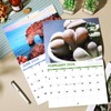 Gag Gifts - 2026 Wall Calendar, White Elephants Natures's Butts,