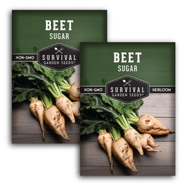 Sugar Beet Seeds for Planting - High Sugar Content Beets for Garden Growing, Heirloom Variety for Home Use Or Livestock Feed, Non-GMO Open Pollinated - Survival Garden Seeds (2 Pack)