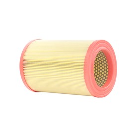 RIDEX Air filter 8A0391