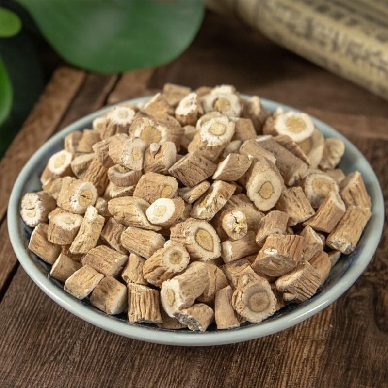 Isatis Root (板蓝根) | Ban Lan Gen | Isatis Indigotica