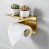DIYZON Toilet Paper Holder with Shelf, Heavy-Duty Stainless Steel Bathroom