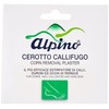 GIOVANARDI FARMACEUTICI Snc Patch Canvas Alpine