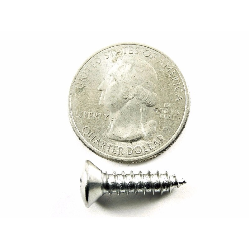 Retro-Motive Chrome #10 x 3/4" Phillips Oval Head Trim Screws
