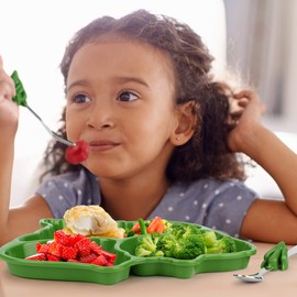 KidsFunwares T-Rex Dinosaur Me Time Meal Set, Portion Control Divided Plate with Fork and Spoon for Kids