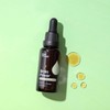 Plant Therapy Organic Herbal Tincture - Brain Power, 30ml