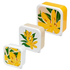 Puckator Florens Hesperantha Set of 3 Lunch Box Snack Pots M/L/XL - Lunchbox with Multi Compartments - Small Food Containers - Lunchbox for Adults and Kids - Girls Boys Lunchbox - Snack Storage