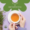 Organic Thyme Tea by Alpi Nature, 80 Thyme Tea Bags,