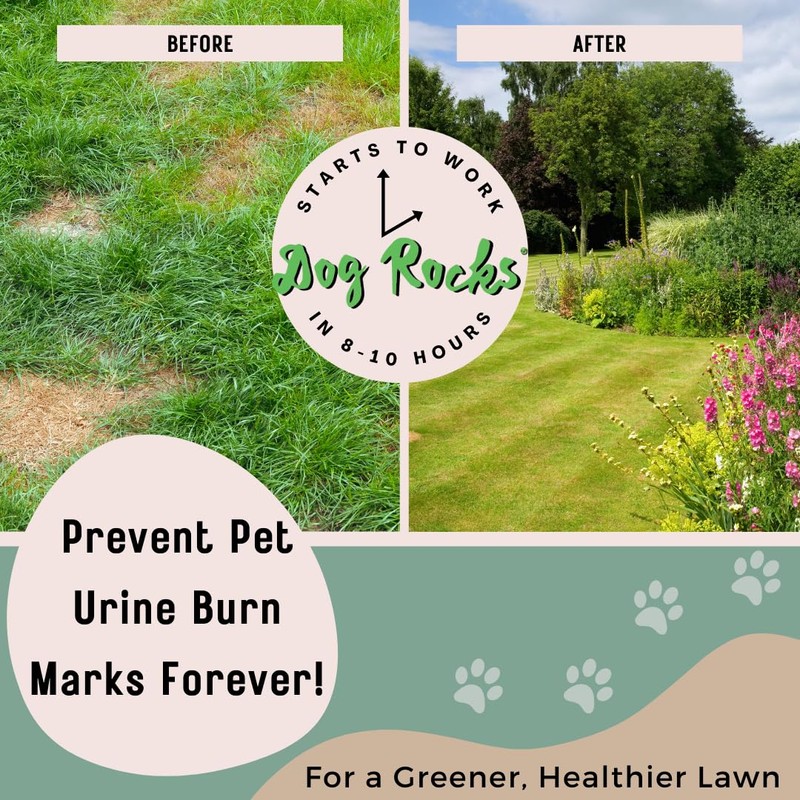 Dog Rocks Urine Patch Preventer 600g Bulk Bag Clear