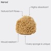Naroa Natural Baby Sponge | Soft Sea Wool Unbleached Bath