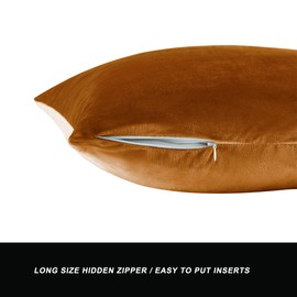 GIGIZAZA Cushion Covers, Cushion Cover Pack of 2 Velvet Decorative Throw Pillow Covers Cases Set Pillow Case for Sofa Bedroom and Car