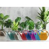 TTAOE GN TTAOE GN Watering Can for Home Garden -