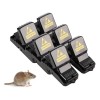 Trampa Para Ratones Ratas De Golpe Dentada 6PK