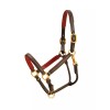 Tory Leather 3/4" Padded Leather Halter with Brass Hardware -