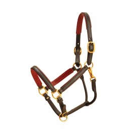 Tory Leather 3/4" Padded Leather Halter with Brass Hardware - Size Cob/Arab  - OAK/OAK