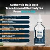 Baja Gold Liquid Ocean Trace Mineral Drops - Ionic Electrolytes