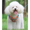 MAJIAYU Dog Harness for Small Medium Dogs Puppy Harness and