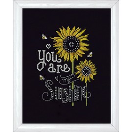 Design Works Crafts 2889 Sunshine Chalkboard Counted Cross Stitch Kit, 8 by 10"