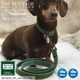 Ancol Timberwolf Leather Lead Green 1mx19mm