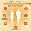 Organic Turmeric Curcumin Supplement 1500mg with BioPerine | 95% Standardized