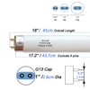 Flyercatch 2Pack F15W-T8-CW Cool White 15 Watt Fluorescent Bulb,18 inch