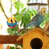 Bird Toy Set Colorful Boredom Relief Chewing Climbing Parrot Swing