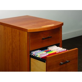 Smead Life Documents Drawer Kit (92015)