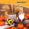 BWFY 2pcs Fall Gnomes Decorations for Home, Thanksgiving Gnomes Plush