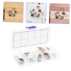 Operitacx Rock Mineral Collection Kit for Natural Specimens with Portable