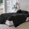 Elegant Comfort Luxuriously Soft 4-Piece Velvet Plush Flannel Sheet Set