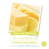 L'air De SAVON Rails De Savon Roll On Fragrance (Feeling