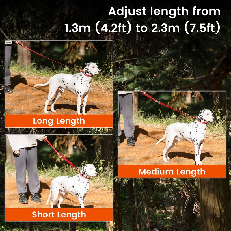 HOWGO 8-in-1 Multifunctional Hands Free Dog Training Leash with Padded